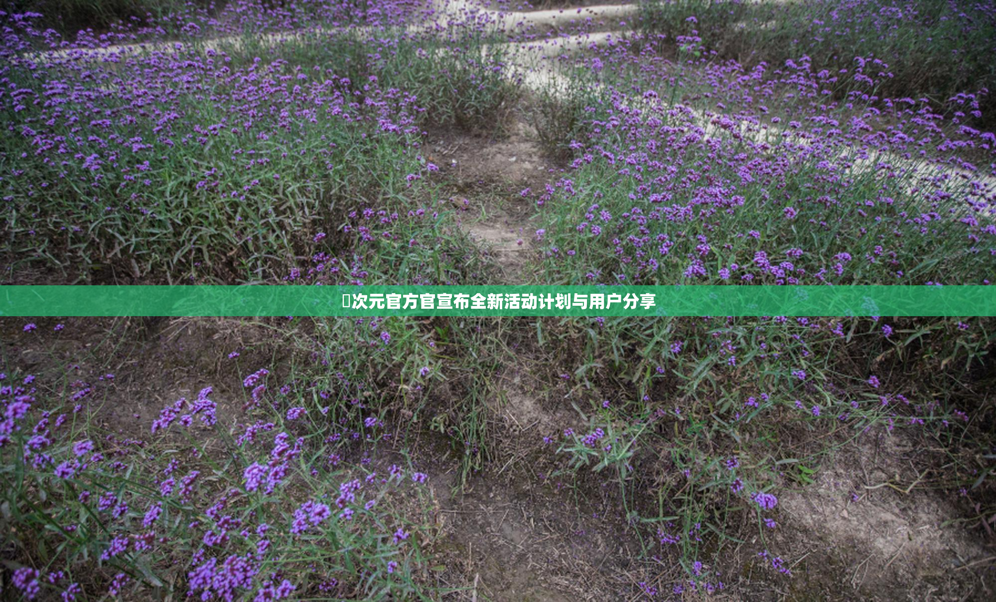 囧次元官方官宣布全新活动计划与用户分享