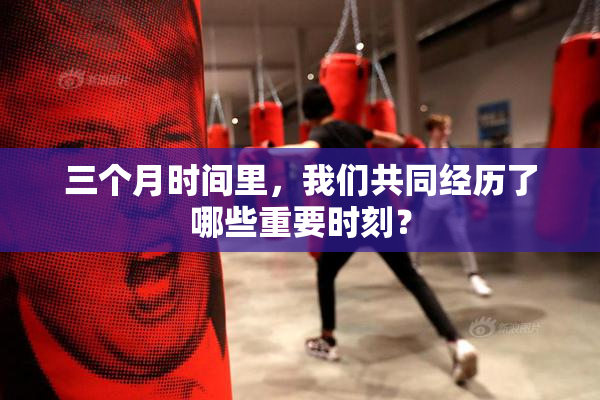 三个月时间里，我们共同经历了哪些重要时刻？