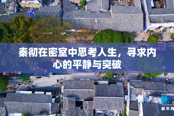 秦彻在密室中思考人生，寻求内心的平静与突破