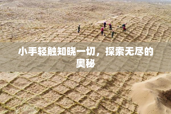 小手轻触知晓一切，探索无尽的奥秘