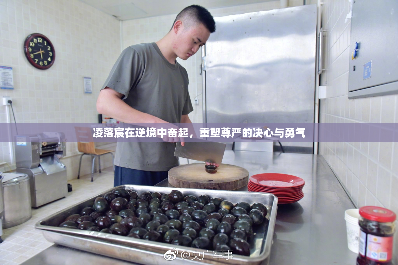 凌落宸在逆境中奋起，重塑尊严的决心与勇气
