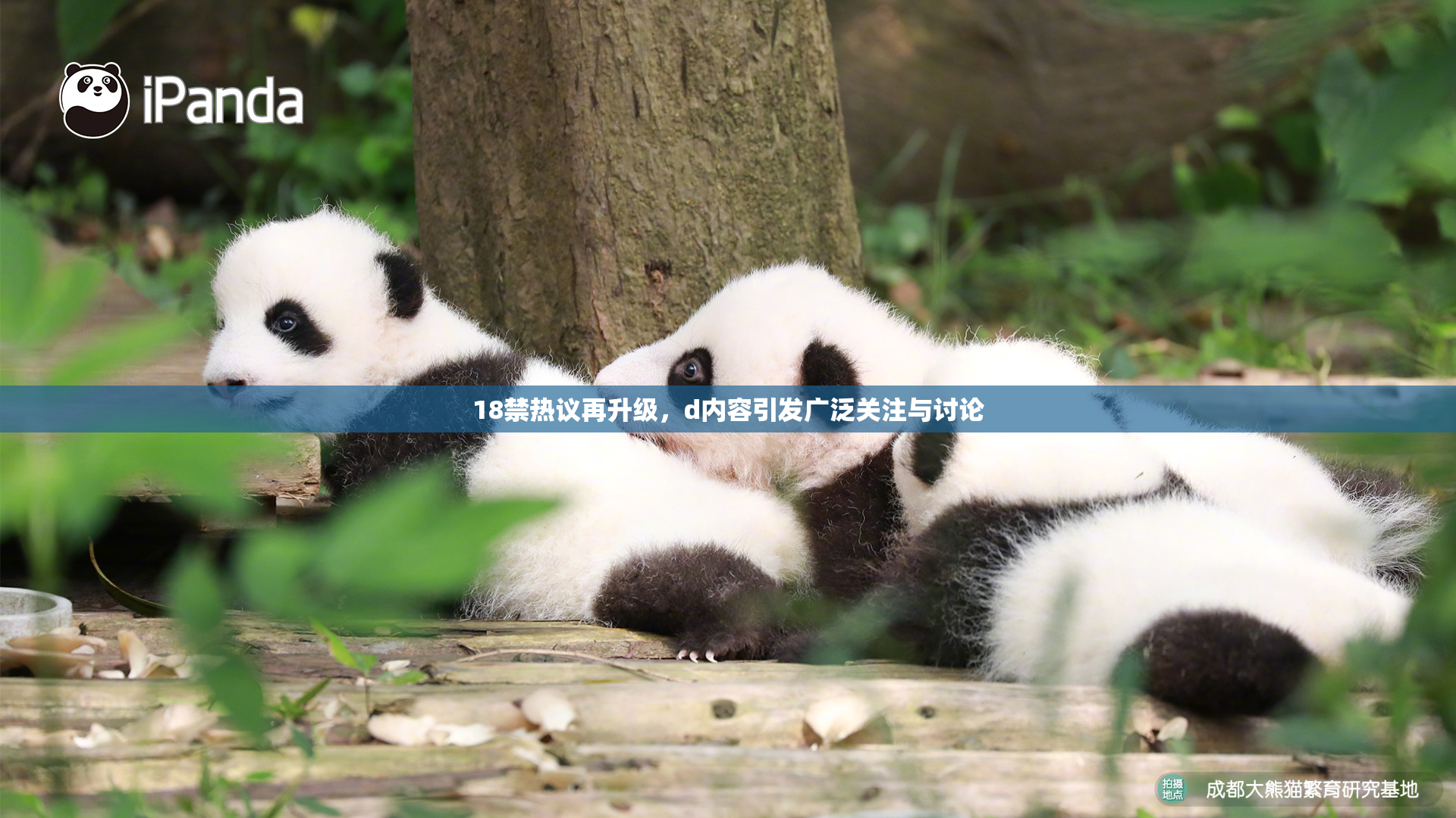 18禁热议再升级，d内容引发广泛关注与讨论