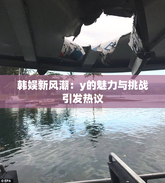 韩娱新风潮：y的魅力与挑战引发热议