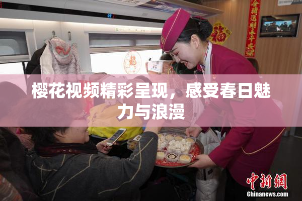 樱花视频精彩呈现，感受春日魅力与浪漫