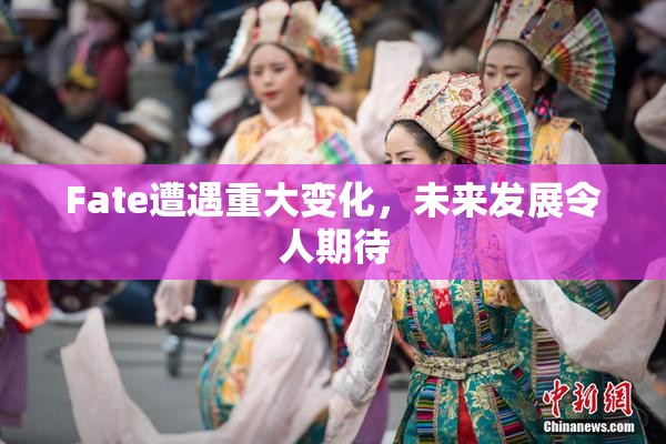 Fate遭遇重大变化，未来发展令人期待