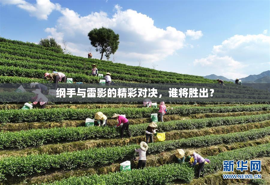 纲手与雷影的精彩对决，谁将胜出？