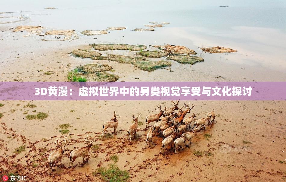 3D黄漫：虚拟世界中的另类视觉享受与文化探讨