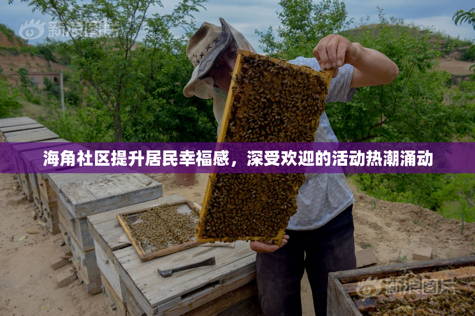海角社区提升居民幸福感，深受欢迎的活动热潮涌动