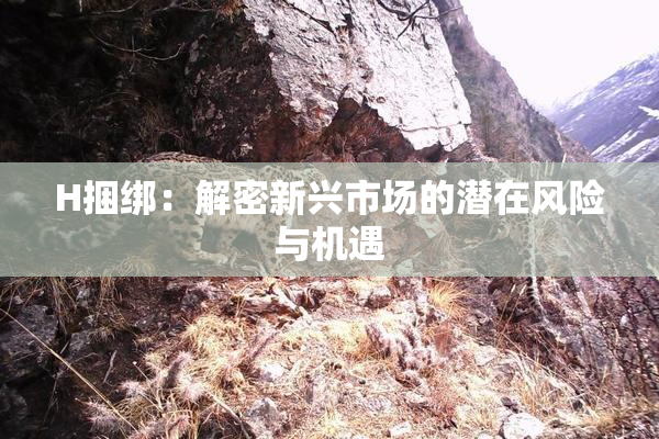 H捆绑：解密新兴市场的潜在风险与机遇