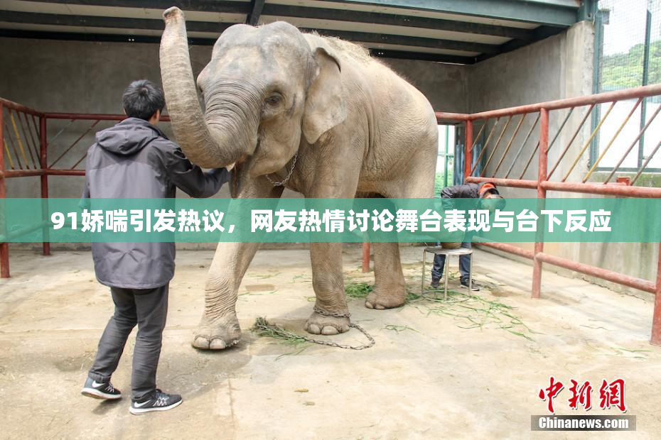 91娇喘引发热议，网友热情讨论舞台表现与台下反应