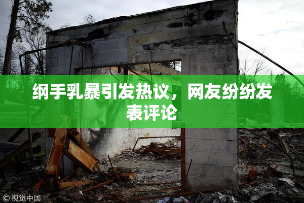 纲手乳暴引发热议，网友纷纷发表评论