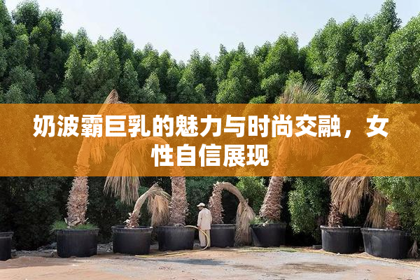 奶波霸巨乳的魅力与时尚交融，女性自信展现