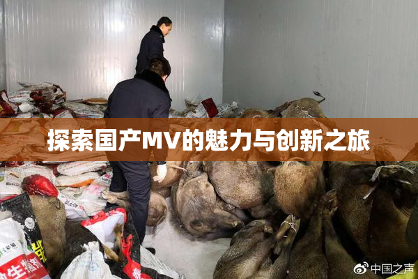 探索国产MV的魅力与创新之旅