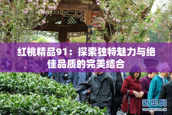 红桃精品91：探索独特魅力与绝佳品质的完美结合