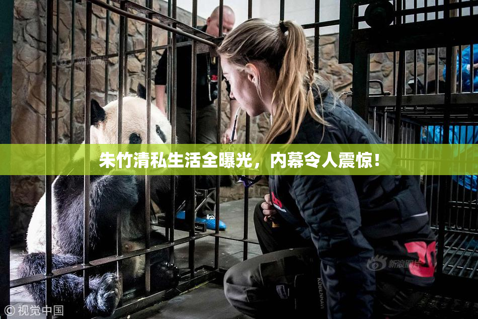 朱竹清私生活全曝光，内幕令人震惊！