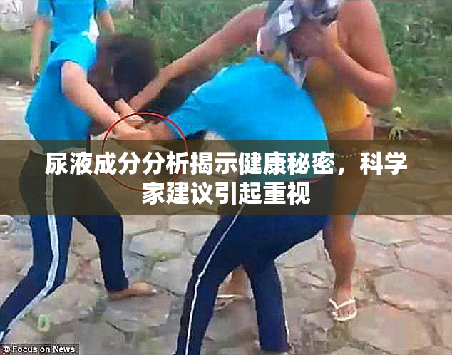 尿液成分分析揭示健康秘密，科学家建议引起重视