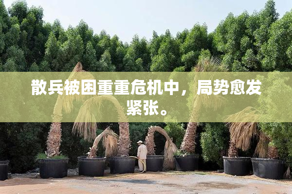 散兵被困重重危机中，局势愈发紧张。