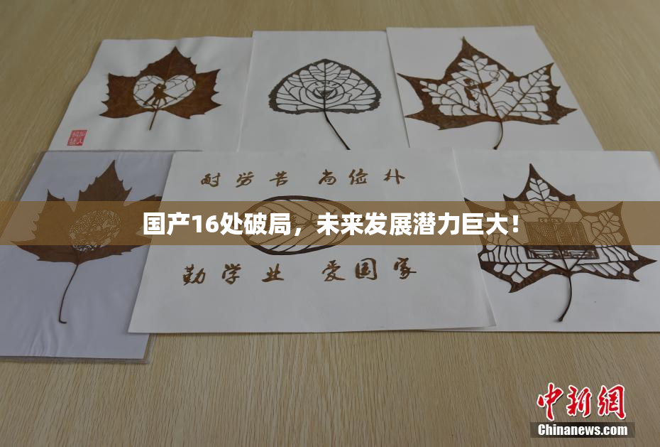 国产16处破局，未来发展潜力巨大！