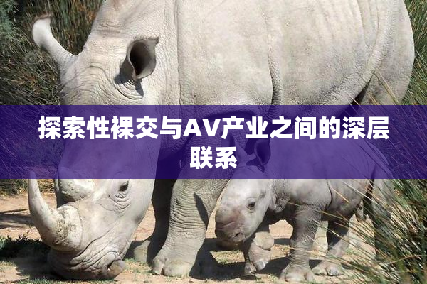 探索性裸交与AV产业之间的深层联系