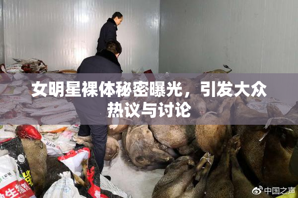 女明星裸体秘密曝光，引发大众热议与讨论