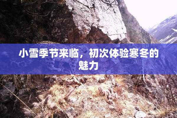 小雪季节来临，初次体验寒冬的魅力
