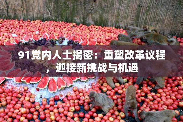 91党内人士揭密：重塑改革议程，迎接新挑战与机遇