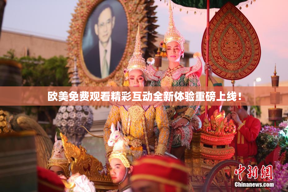 欧美免费观看精彩互动全新体验重磅上线！