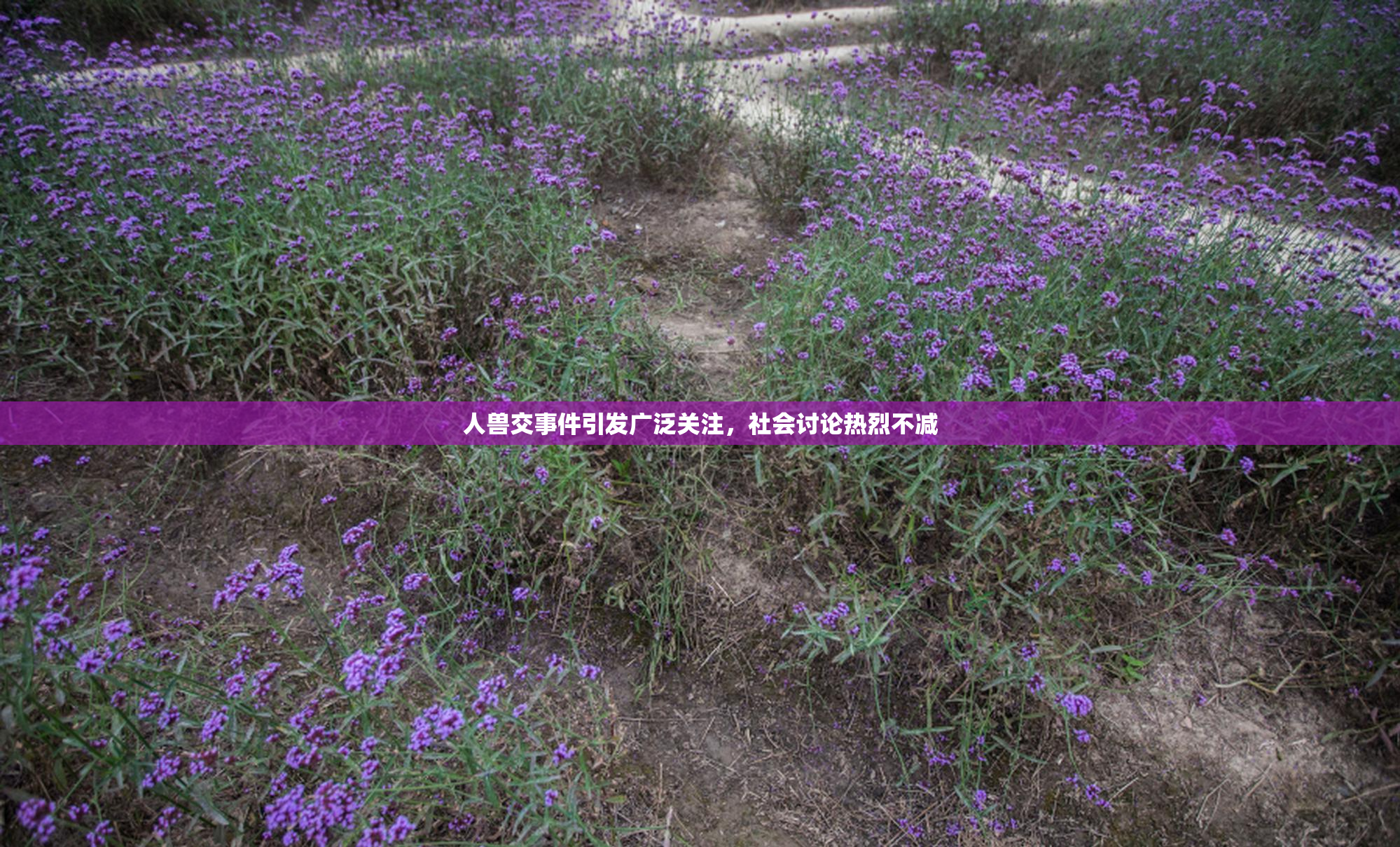 人兽交事件引发广泛关注，社会讨论热烈不减