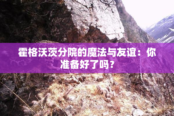 霍格沃茨分院的魔法与友谊：你准备好了吗？