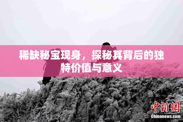 稀缺秘宝现身，探秘其背后的独特价值与意义