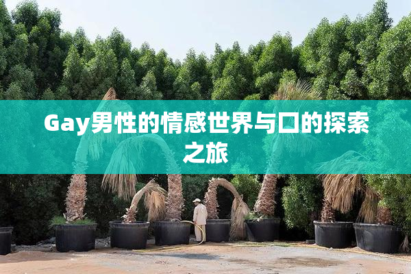 Gay男性的情感世界与囗的探索之旅