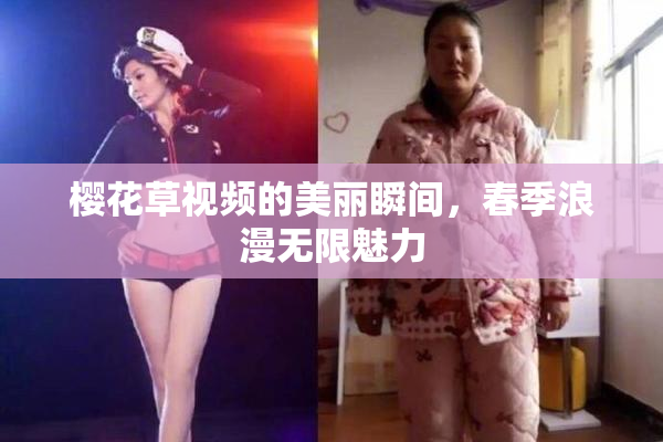 樱花草视频的美丽瞬间，春季浪漫无限魅力