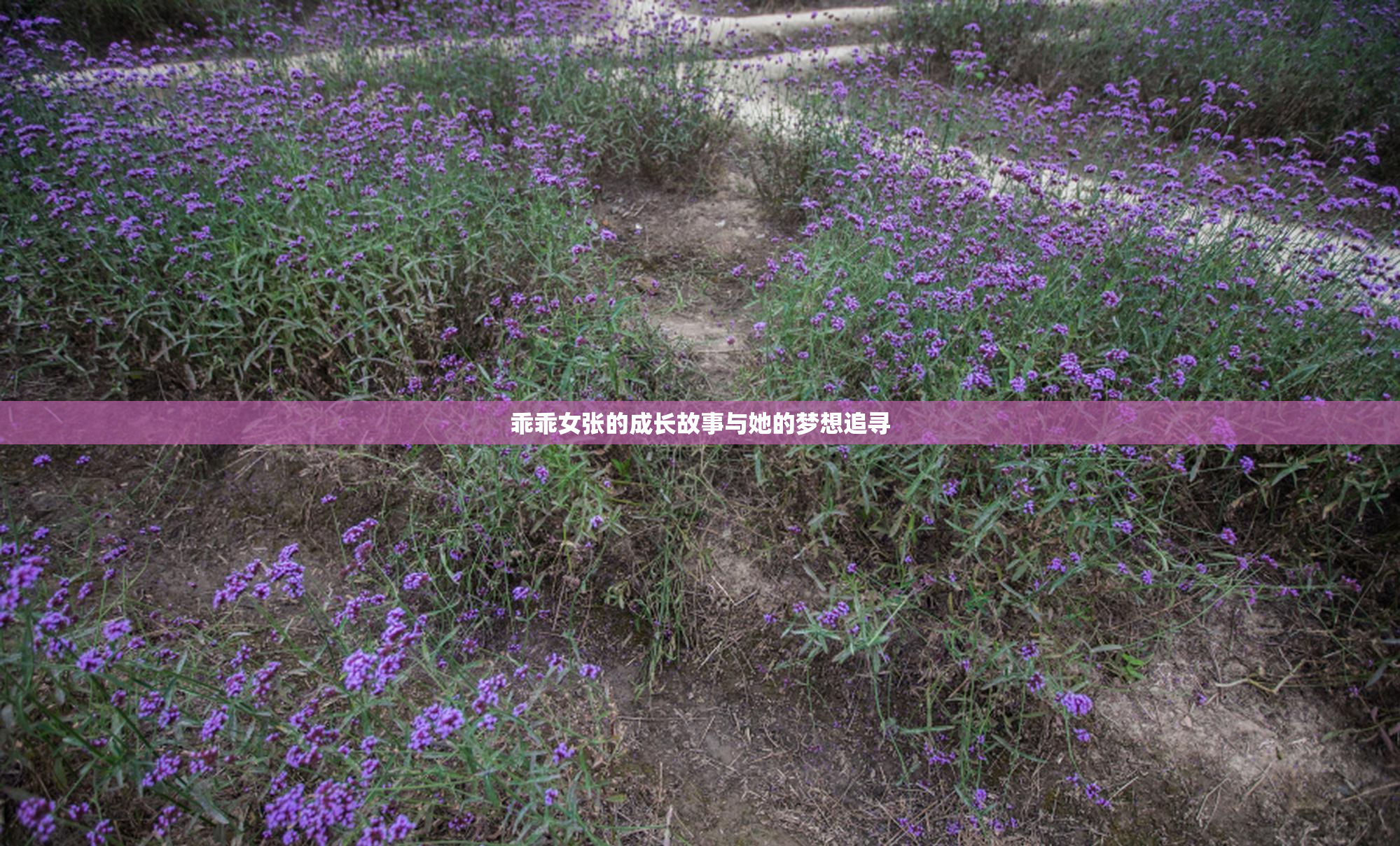 乖乖女张的成长故事与她的梦想追寻
