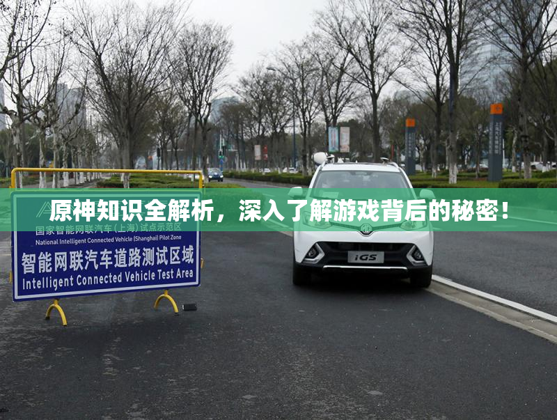 原神知识全解析，深入了解游戏背后的秘密！