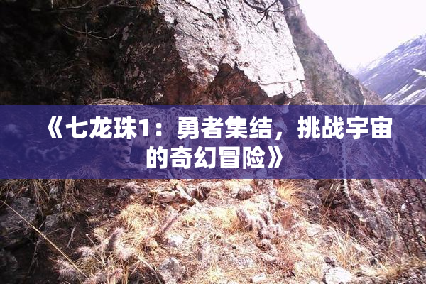《七龙珠1：勇者集结，挑战宇宙的奇幻冒险》