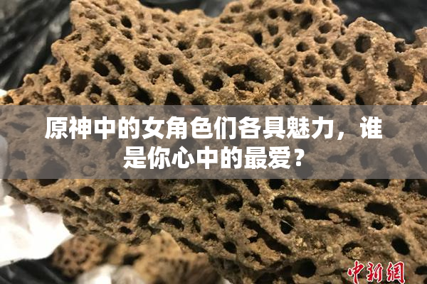 原神中的女角色们各具魅力，谁是你心中的最爱？