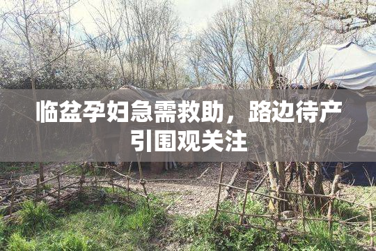 临盆孕妇急需救助，路边待产引围观关注