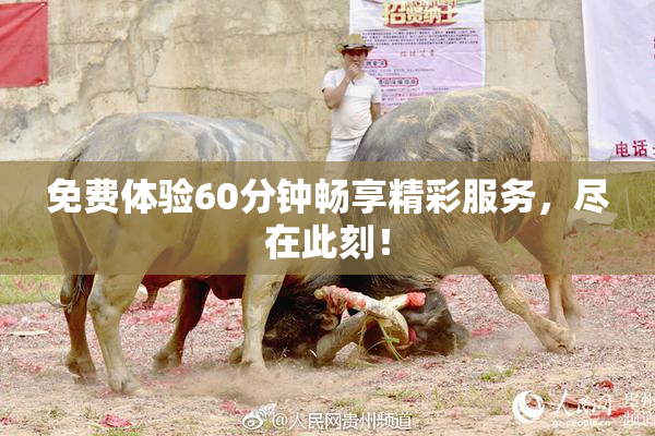 免费体验60分钟畅享精彩服务，尽在此刻！