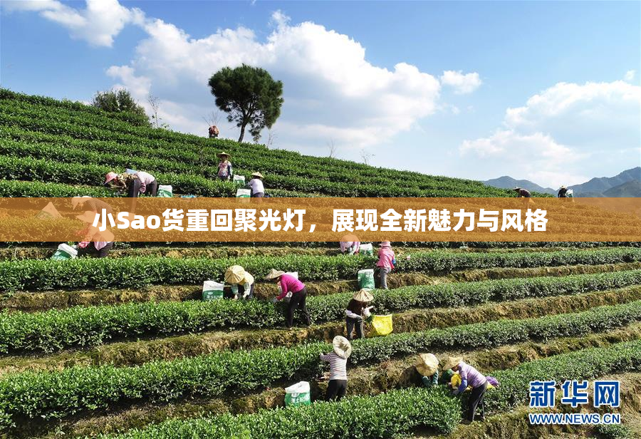 小Sao货重回聚光灯，展现全新魅力与风格