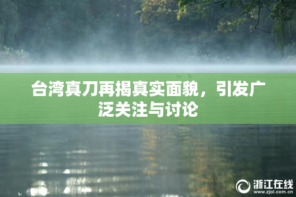 台湾真刀再揭真实面貌，引发广泛关注与讨论