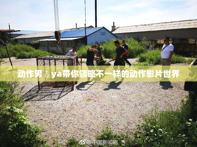 动作男♂ya带你领略不一样的动作影片世界