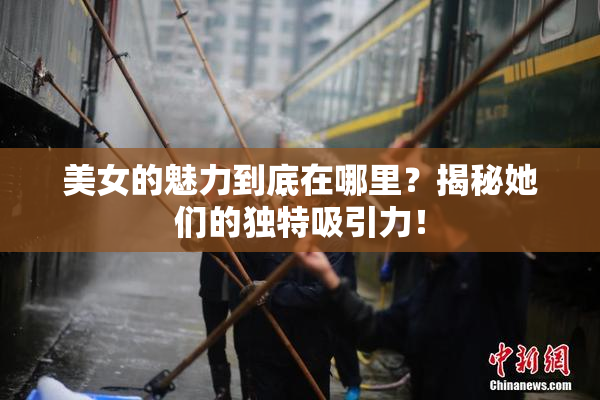 美女的魅力到底在哪里？揭秘她们的独特吸引力！