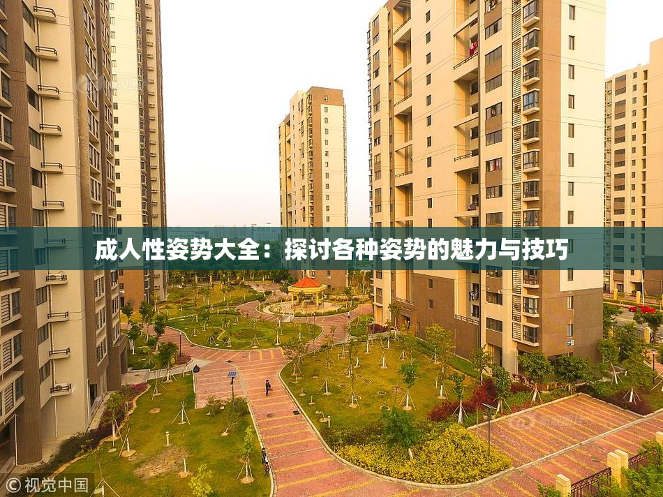 成人性姿势大全：探讨各种姿势的魅力与技巧