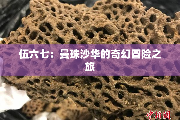 伍六七：曼珠沙华的奇幻冒险之旅