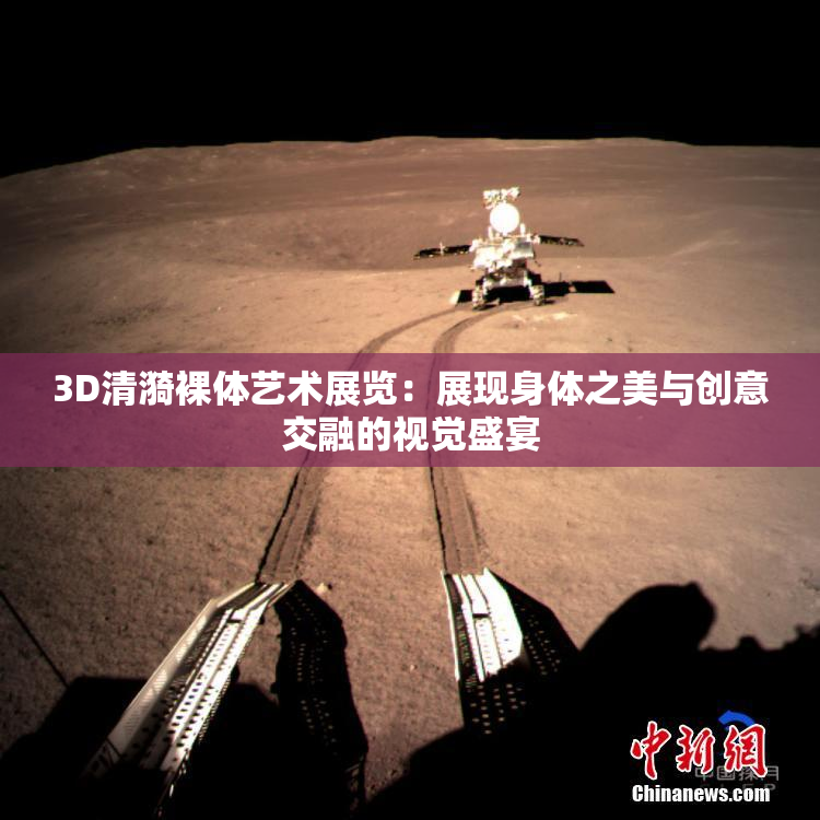 3D清漪裸体艺术展览：展现身体之美与创意交融的视觉盛宴