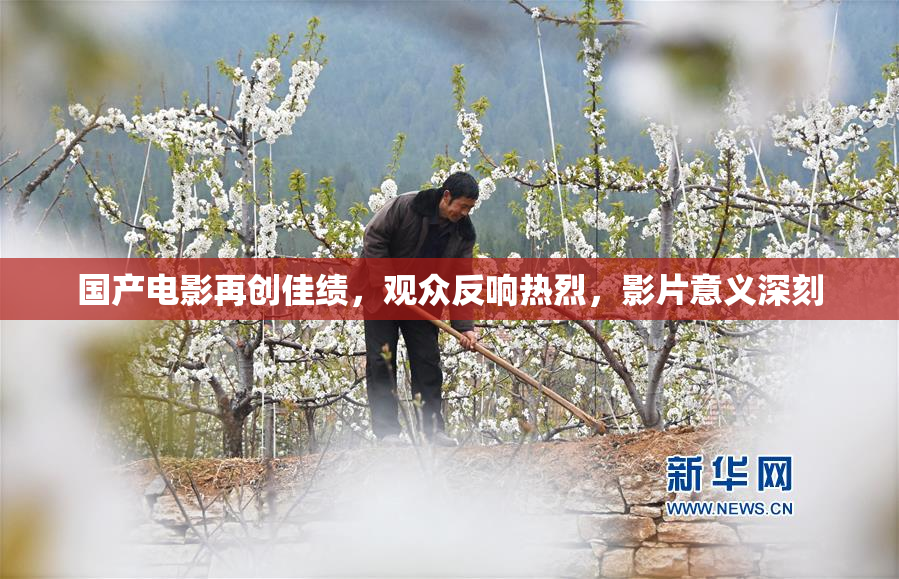 国产电影再创佳绩，观众反响热烈，影片意义深刻