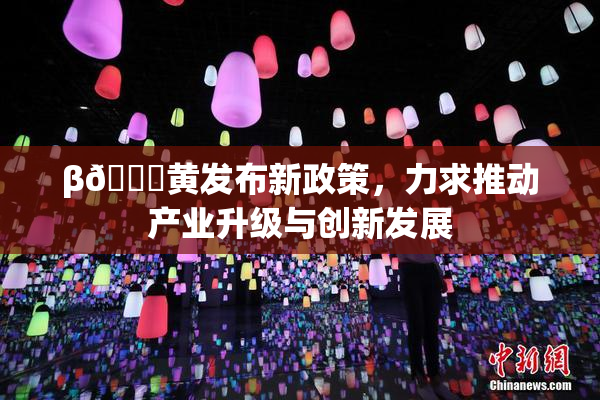 β🔞黄发布新政策，力求推动产业升级与创新发展