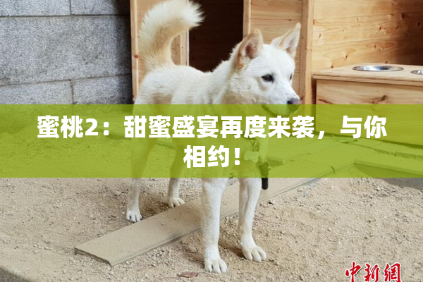 蜜桃2：甜蜜盛宴再度来袭，与你相约！