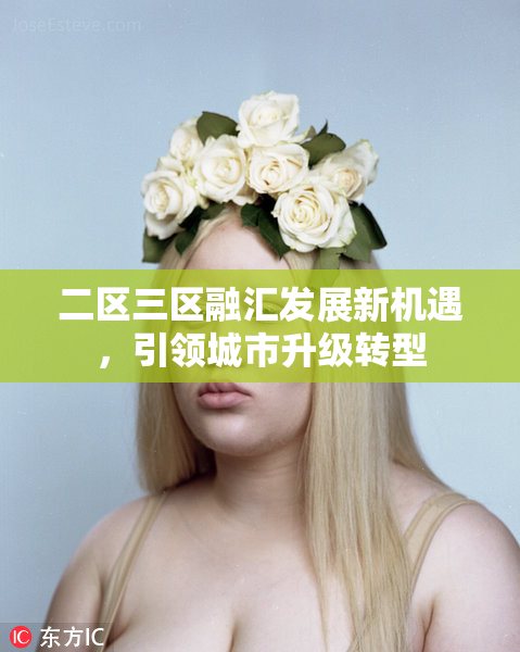二区三区融汇发展新机遇，引领城市升级转型
