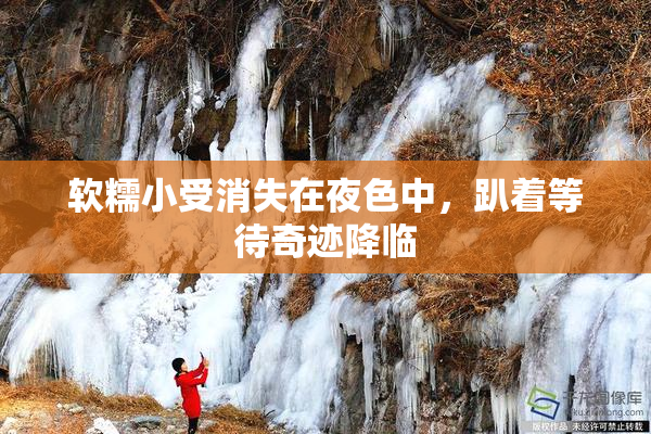 软糯小受消失在夜色中，趴着等待奇迹降临